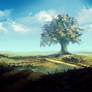 mood fairytale project