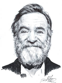 Robin Williams - artist Stefan Tistu