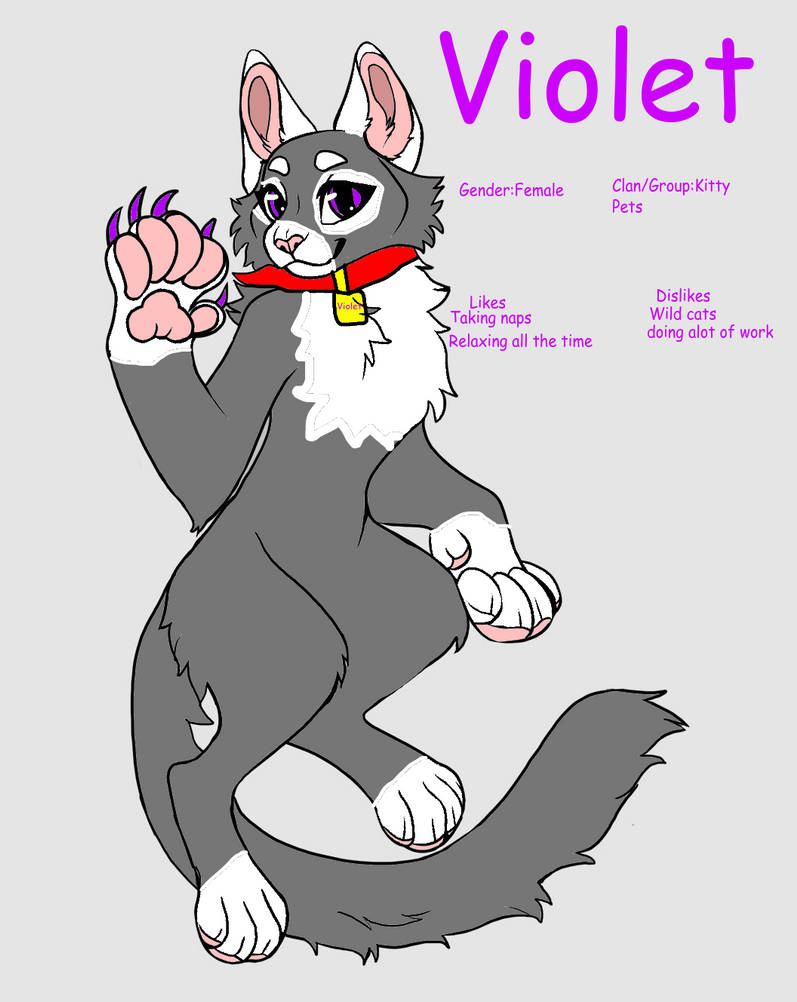 Violetkit Violet The Kitty Pet(Warrior Cats Fan Art) by lilyflames1seeker on ...