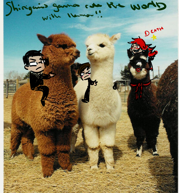 Llamas and shinigamis...