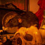 Fink in a Vanitas Still Life