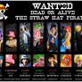 One Piece - 03 - WANTED