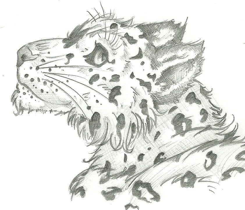 Snowleopard