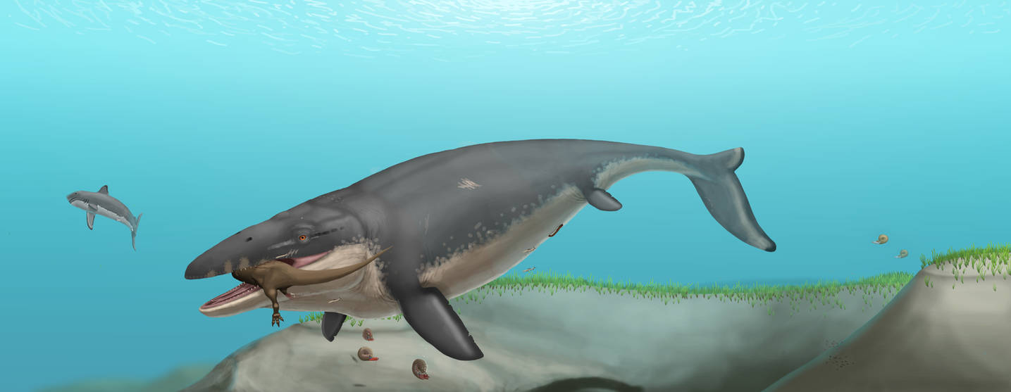 Mosasaurus hoffmanni by Batavotyrannus