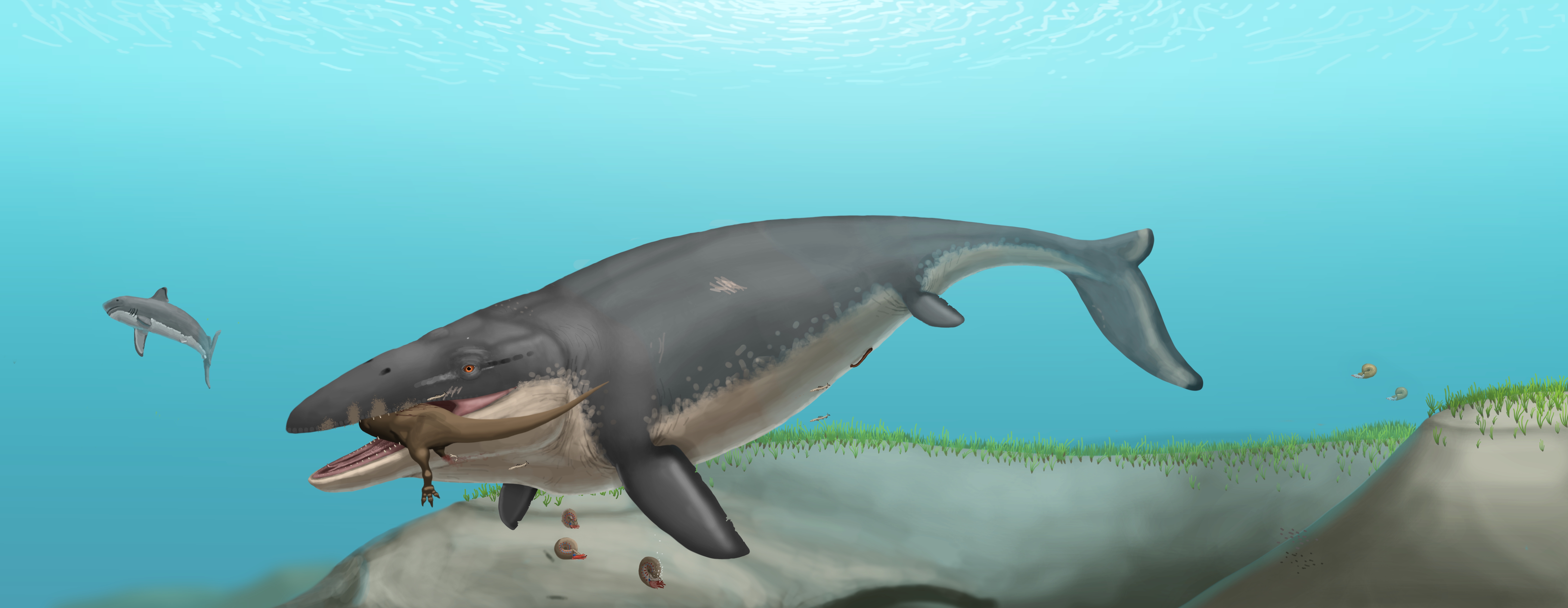 Mosasaurus hoffmanni by Batavotyrannus