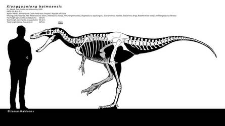 Xionguanlong baimoensis skeletal reconstruction