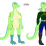 Adile redesign reference