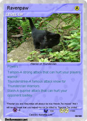 Ravenpaw Card