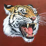 Tiger Detail from WIP