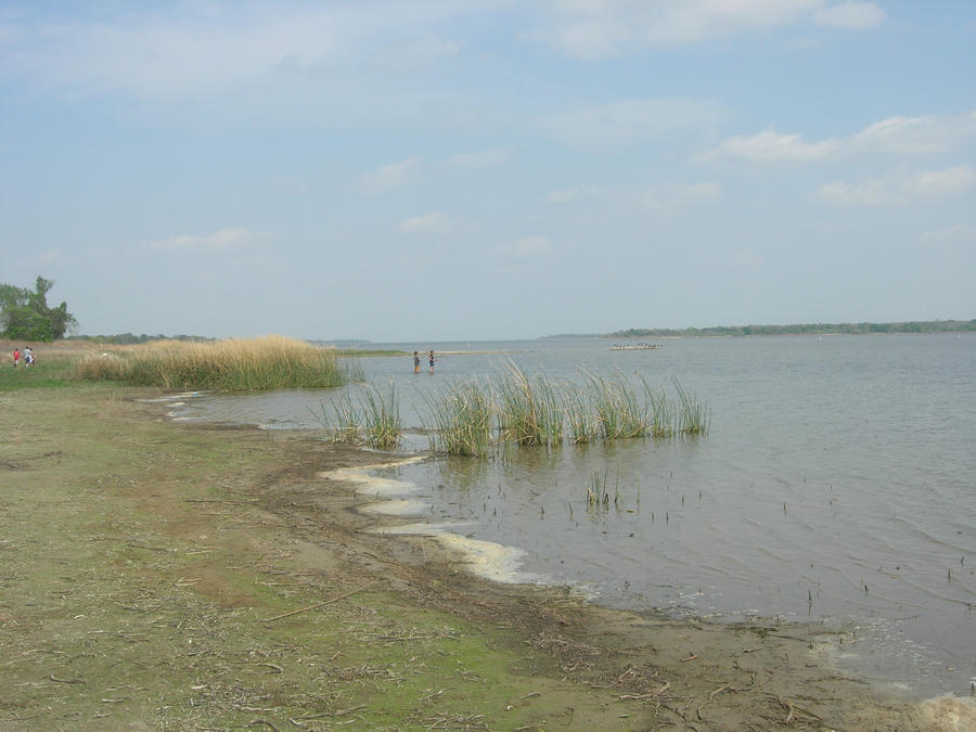 Wading fishermen