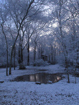 Ice Crystal Morning