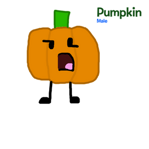 Pumpkin My 2nd OC