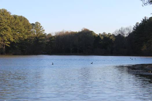 McFayden Pond Daytime