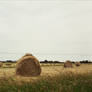 Hay Bales 1