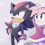 Amy and Shadow