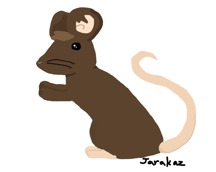 A Mouse