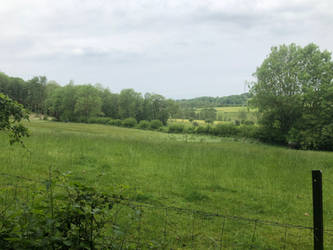 Le calme et la beaute de ma campagne