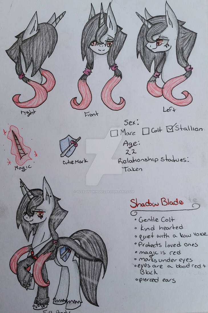 Shadow Blade oc (Reference sheet) by bleedingwings12 on DeviantArt