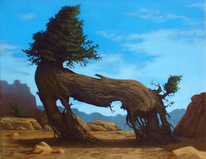 The Last Centaur Tree