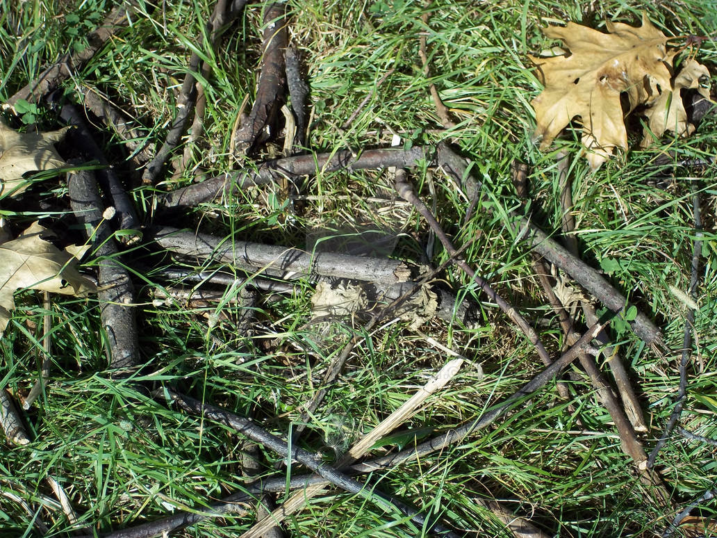 Random Twigs by Bumble2011 on DeviantArt