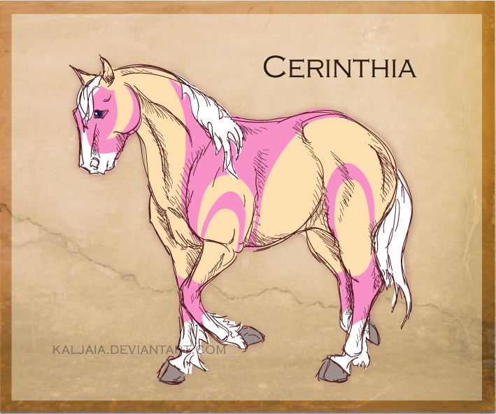 CH Cerinthia