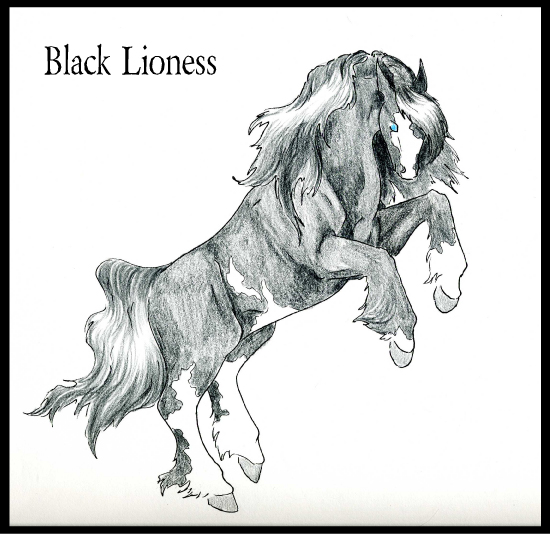 CH Black Lioness