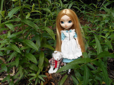 Alice in wonderland - Pullip Fantastic Alice 2004