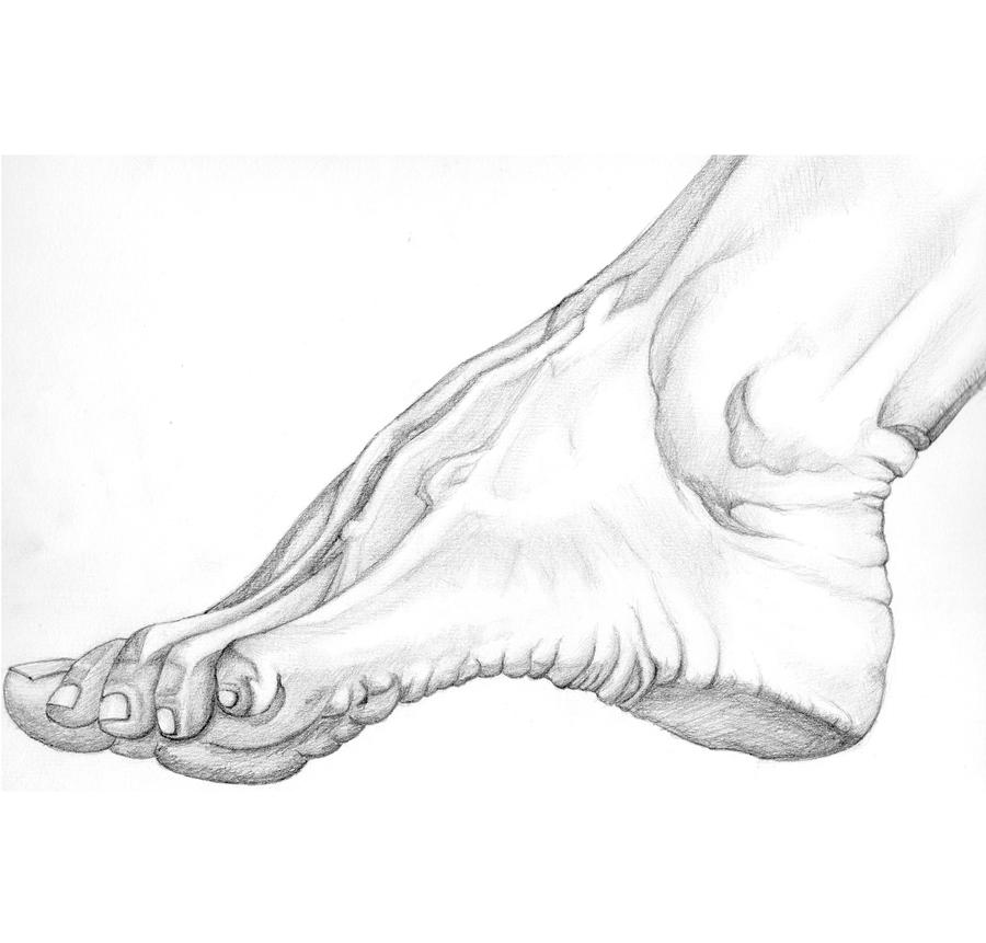 Foot Drawing by TehWardy on DeviantArt
