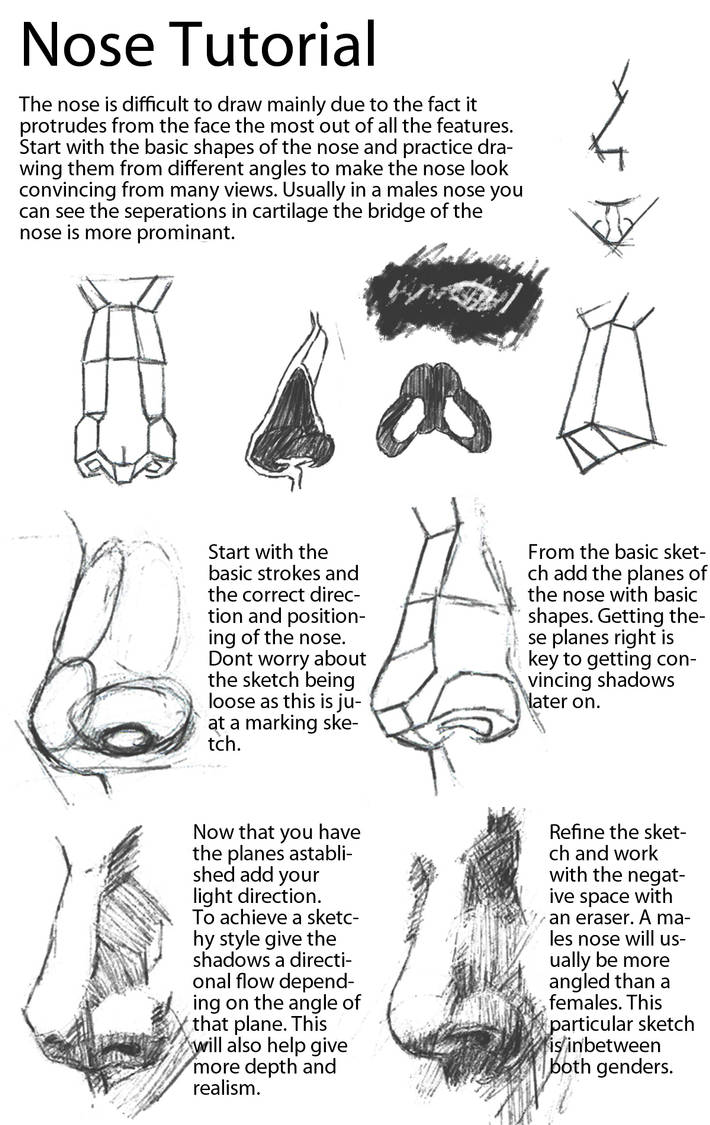 Nose Tutorial By TehWardy On DeviantArt nose-tutorial-by-tehwardy-on-deviantart