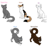 Warrior Cat Oc's (Part 1)