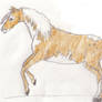 New Horsie