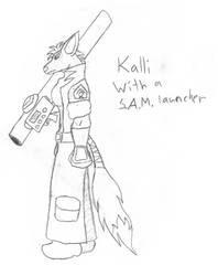 Kalli_Sniper_Fox with a SAM