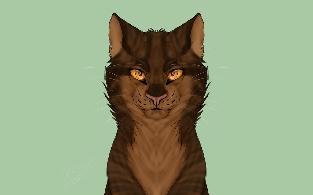 Warriors BrambleClaw By Kivenoma On DeviantArt warriors-brambleclaw-by-kivenoma-on-deviantart