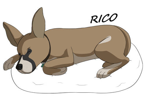 Sleeping Rico [GIFT]