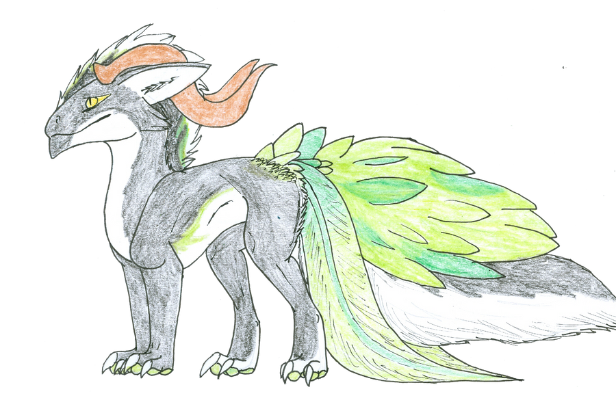Dragon Ranunculus Ranunculus by Yearofdragon on DeviantArt