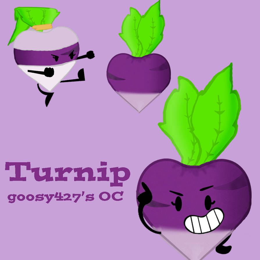 Matrvincent Deviantart OC Request #28 - Turnip by MatrVincent on DeviantArt