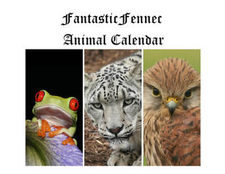 Animal Calendar