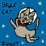 SPACE CAT adopt