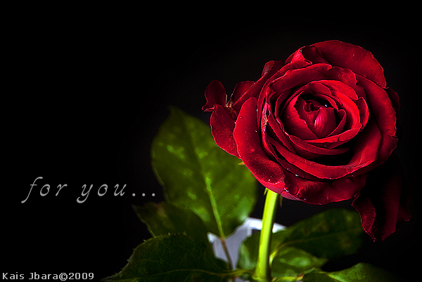 for you..