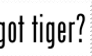 God Tier Tiger