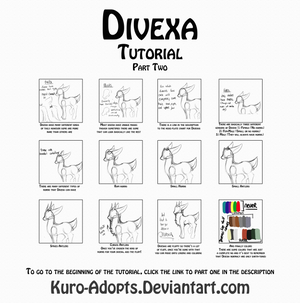 Divexa Tutorial Part Two