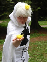 Teutonic Knight Prussia- Have a Gilbird