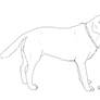 Labrador line art