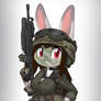 Assault Bunny