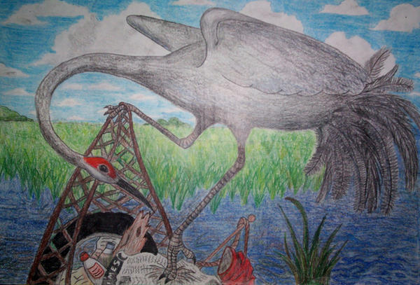Sandhill Crane in Pain by TheDirectorJenn on DeviantArt