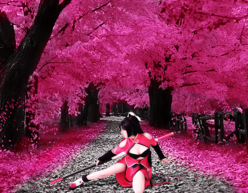Litchi(Shermie) under the cherry blossom trees