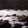 River Stock 2