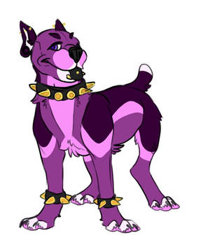 Purple pitbull adopt!