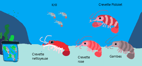 Shrimpzilla Shrimps and Prawn by ZooWaloo on DeviantArt