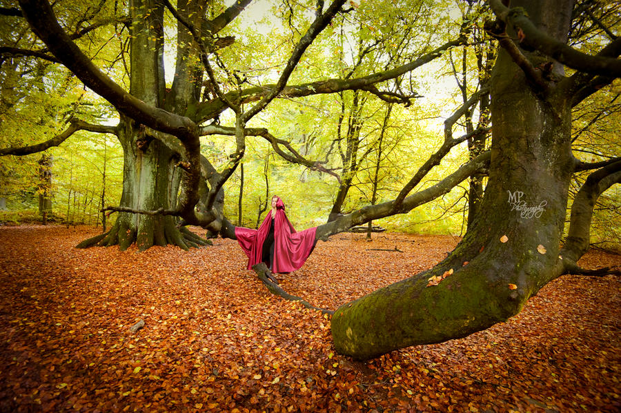 Fairytale Forest Self-Portrait I